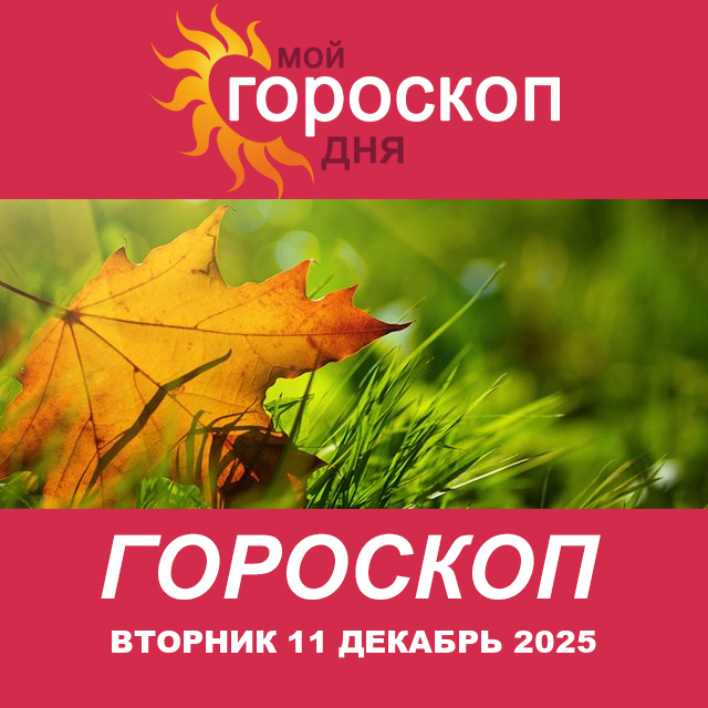 Повседневный гороскоп на Вторник 11 ноябрь 2025